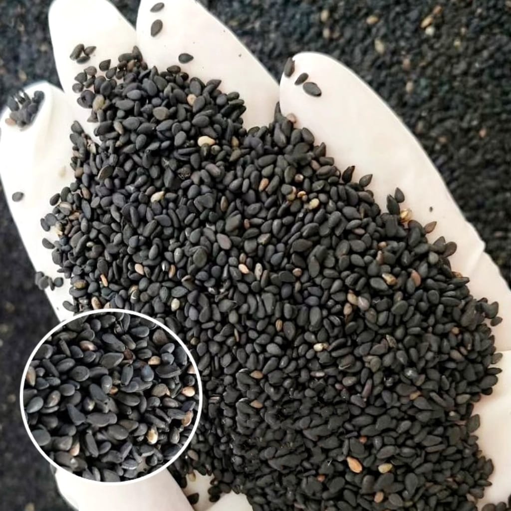 Black Sesame Crisp 250g [Beijing Specialty]